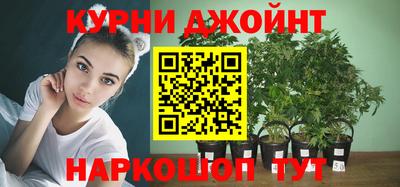 амф Донской