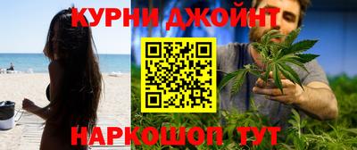 a pvp Дубна