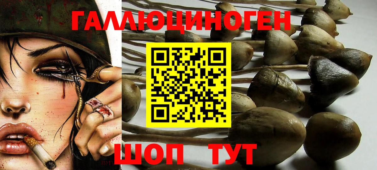 Можайск  Псилоцибиновые грибы мухоморы  продажа наркотиков  Вход с VPN 